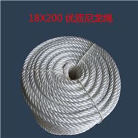 網住千般力，牽起萬縷金——晉州市長纓繩網線帶廠網絡線產品全面上線